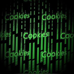 tipos de cookies